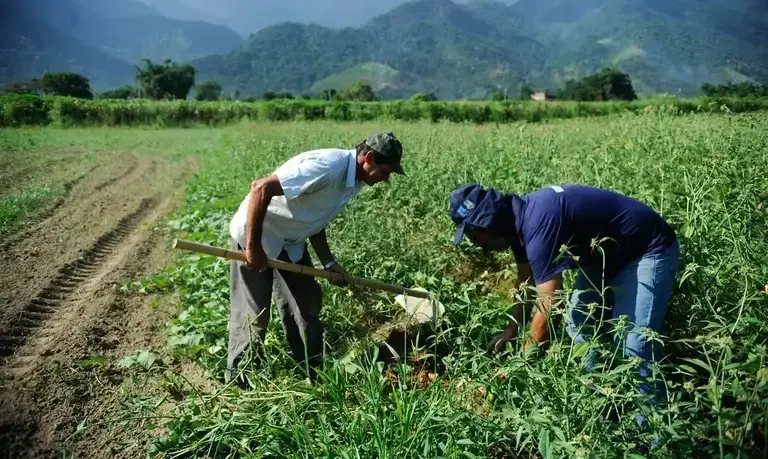 CAE aprova projeto que renegocia dívidas rurais com fundo do pré-sal