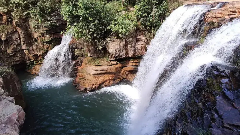 Flona Brasília celebra 27 anos com natureza e lazer