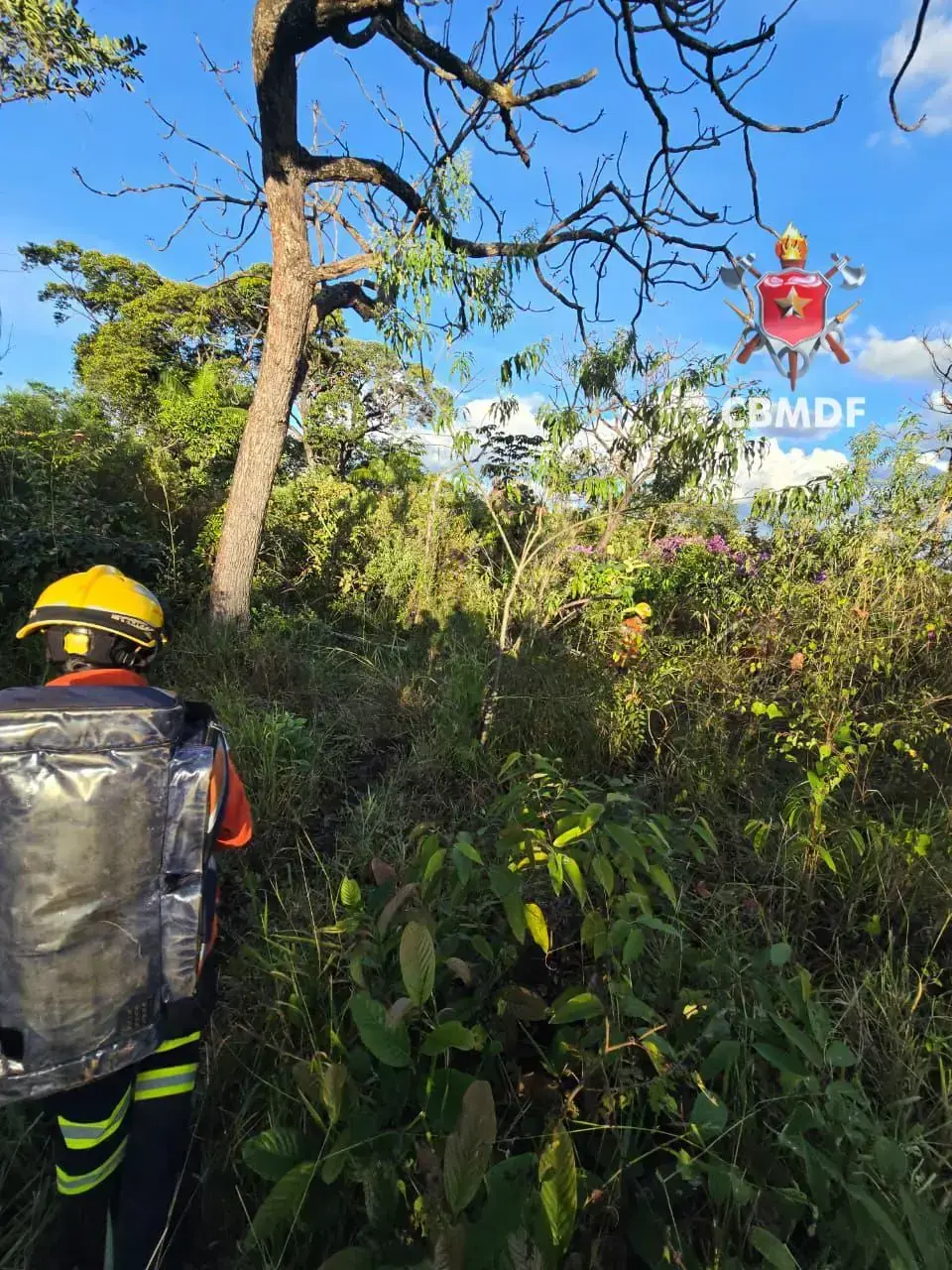 Homem é resgatado por bombeiros após acidente em Brazlândia