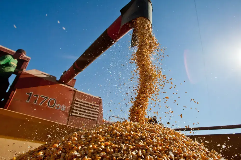 IGP-DI: agropecuários sobem 0,97% em abril, diz FGV