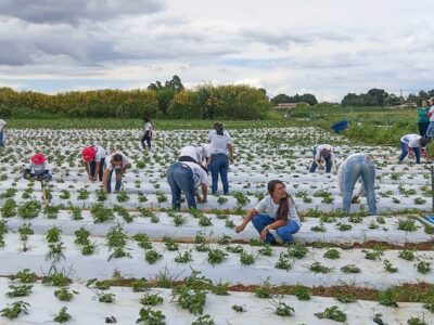 Mais de 100 mulheres são certificadas em programa rural em Brazlândia