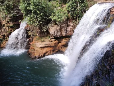 Flona Brasília celebra 27 anos com natureza e lazer