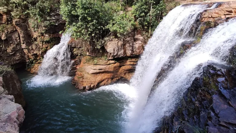 Flona Brasília celebra 27 anos com natureza e lazer
